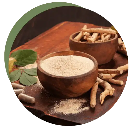 Nutraceuticals Products